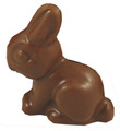 Creamy melk chocolate bunny filled with delicious almond butter. Non-Dairy
This product is only available between February 05 and April 22.