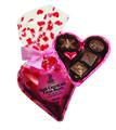 Dark Chocolate Heart Filled with Chocolates- Organic