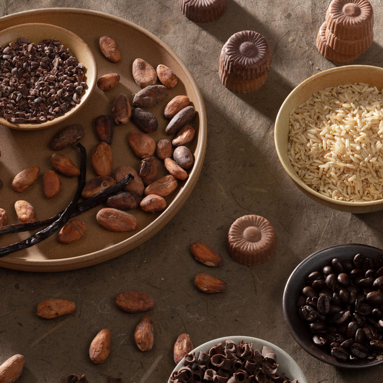 Plates of cocoa beans, cocoa nibs, brown rice, coffee beans and Sjaak's organic chocolate bites