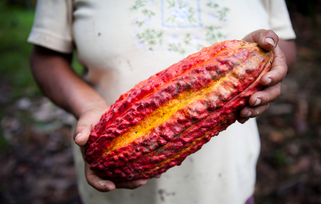 Women holding a cacao fruit