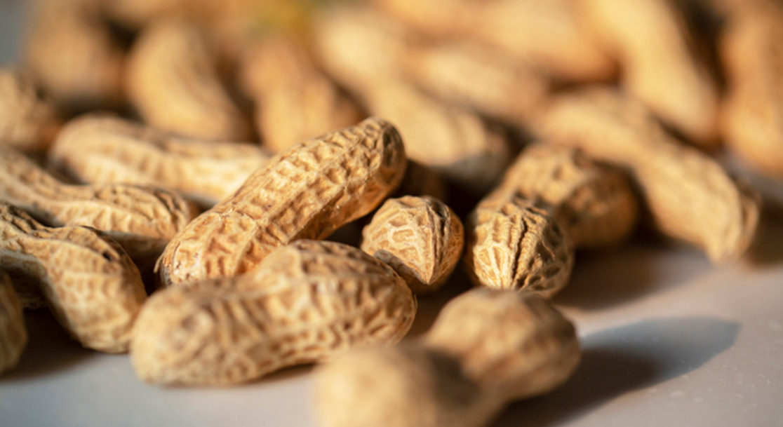 organic fresh peanuts